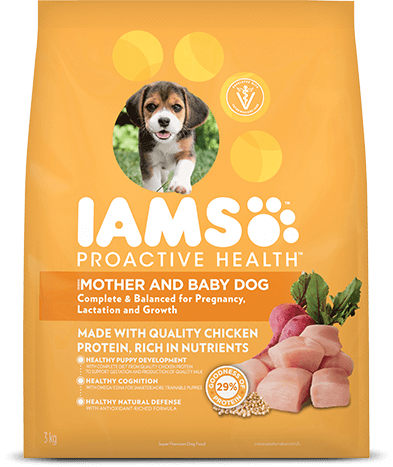 Good dog food for nursing mothers cheap