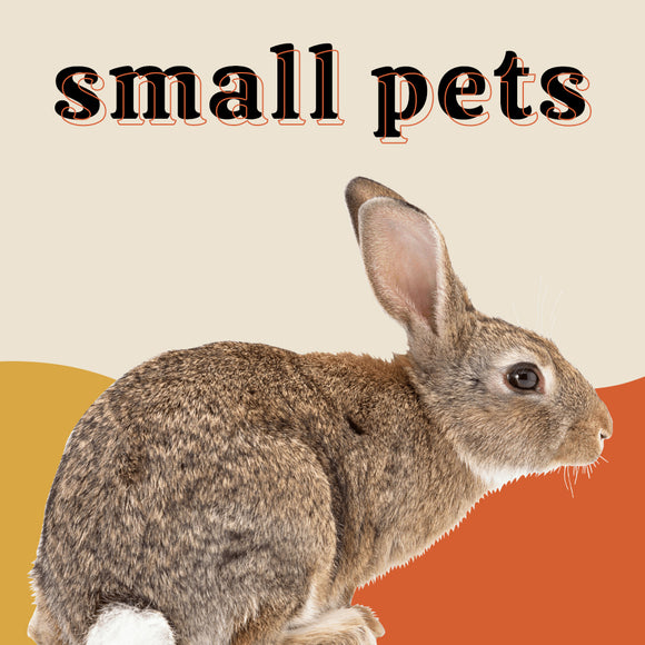 Small Pets