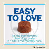 Nexgard Anti Tick and Flea Chewable for Dogs Large 10-25 kg