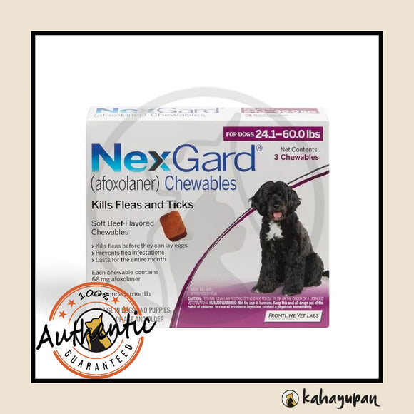 Nexgard Anti Tick and Flea Chewable for Dogs Large 10-25 kg