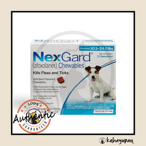 Nexgard Anti Tick and Flea Chewable for Dogs Medium 4-10 kg