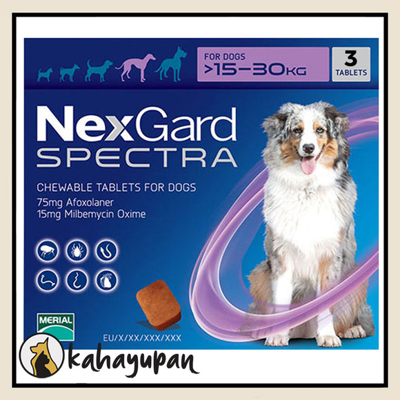 Nexgard Spectra Anti Tick, Flea, Mange and Deworming Chewable for Large Dogs 15-30 kg