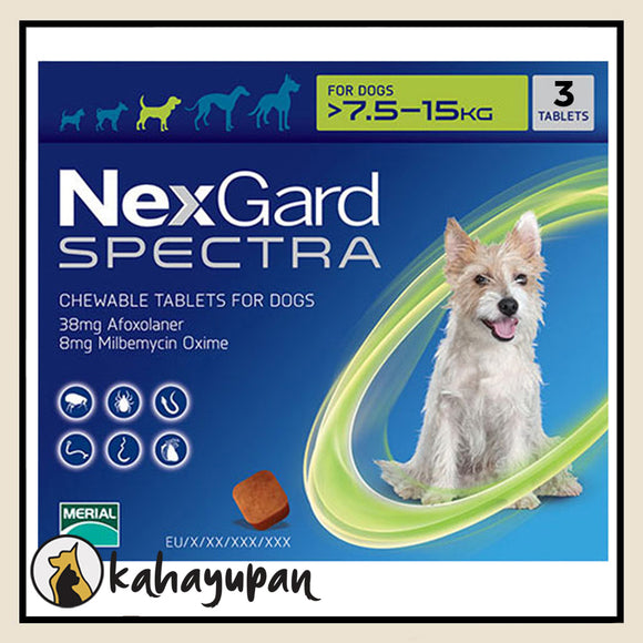 Nexgard Spectra Anti Tick, Flea, Mange and Deworming Chewable for Medium Sized Dogs 7.5-15 kg