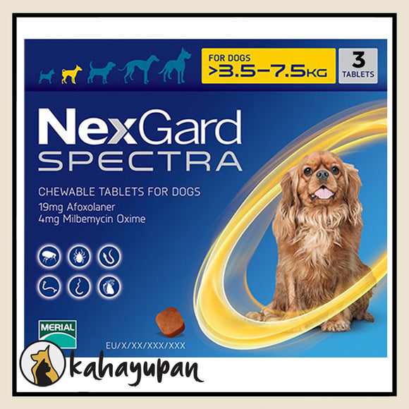 Nexgard Spectra Anti Tick, Flea, Mange and Deworming Chewable for Small Dogs 3.5-7.5 kg