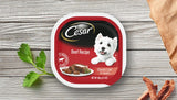 Cesar Gourmet Dog Food in Sealed Tray Beef Recipe