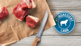 Cesar Gourmet Dog Food in Sealed Tray Lamb Recipe