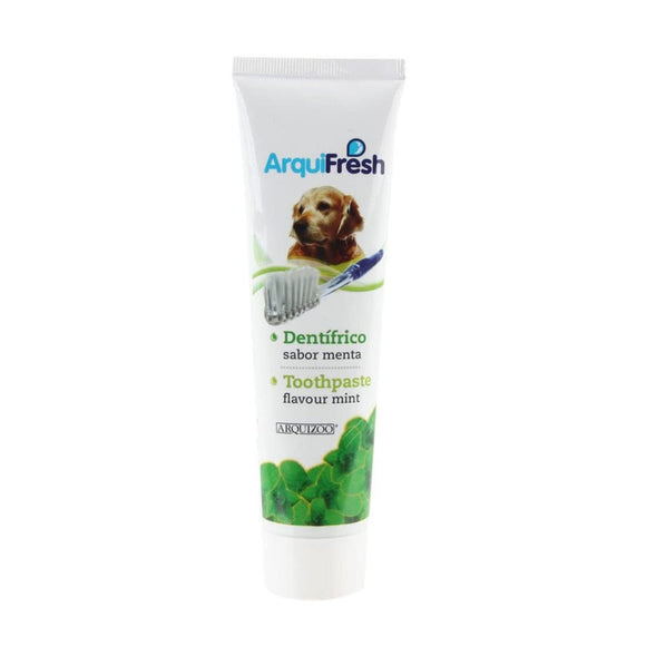 Arquifresh Mint Flavoured Toothpaste