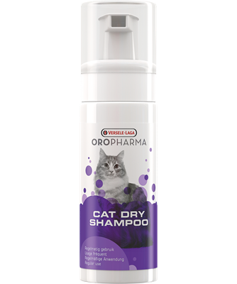 Verselle Laga Cat Look Shampoo Dry Lotion
