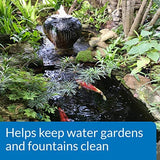 API PondCare Agaefix