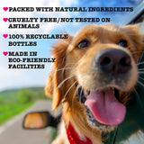 I Love Pet Head High Maintenance Dog Conditioner
