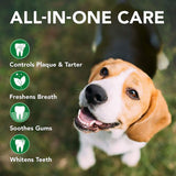 Vets Best Dental Care Kit(Toothbrush & Dental Gel Toothpaste)