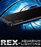 Dymax REX-LED Lighting Blue/White LED