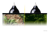 Exo Terra Glow Light and Porcelain Clamp Reflector