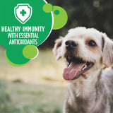 Iams Adult Small Breed