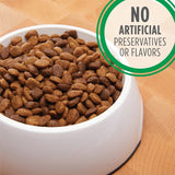 Iams Adult Small Breed