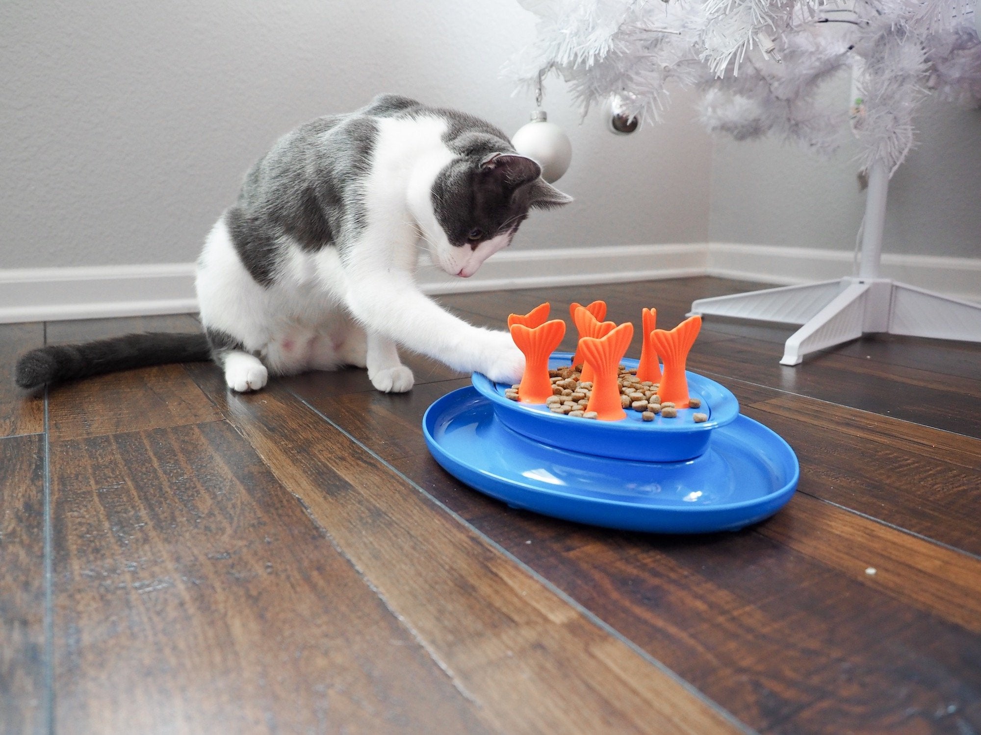 Jackson galaxy hot sale cat bowl