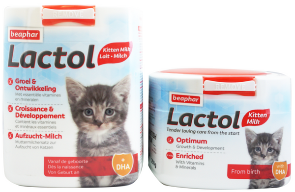 Beaphar lactol kitten milk best sale