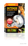 Exo Terra Sun Glo Intense Basking Spot Lamp