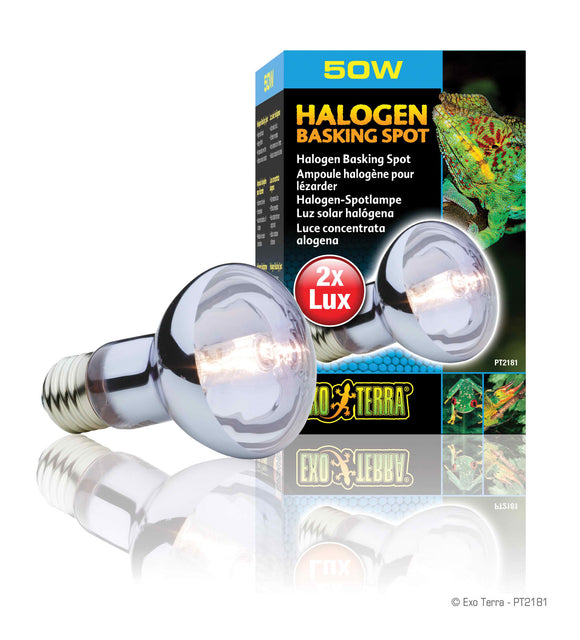 Exo Terra Sun Glo Daylight Halogen Lamp
