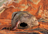 Exo Terra Gecko Cave