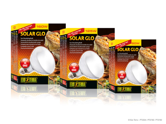 Exo Terra Solar Glo