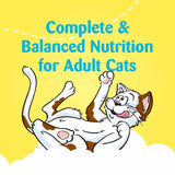 Temptations Crunchy Mini Cat Treats Tasty Chicken Flavor