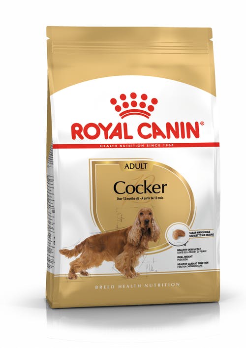 Royal Canin English Cocker Spaniel Adult