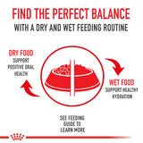 Royal Canin Adult Beauty (Healthy Skin) Wet Food in Gravy