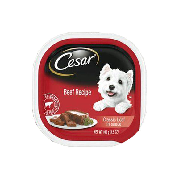 Cesar Gourmet Dog Food in Sealed Tray Beef Recipe