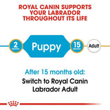 Royal Canin Labrador Retriever Puppy