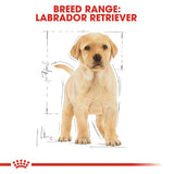 Royal Canin Labrador Retriever Puppy