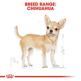 Royal Canin Chihuahua Adult Wet Food in Gravy