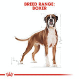 Royal Canin Boxer Adult