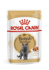 Royal Canin British Shorthair Adult Wet Food in Gravy