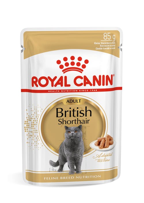 Royal Canin British Shorthair Adult Wet Food in Gravy