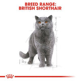 Royal Canin British Shorthair Adult Wet Food in Gravy