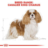 Royal Canin Cavalier King Charles Spaniel Adult