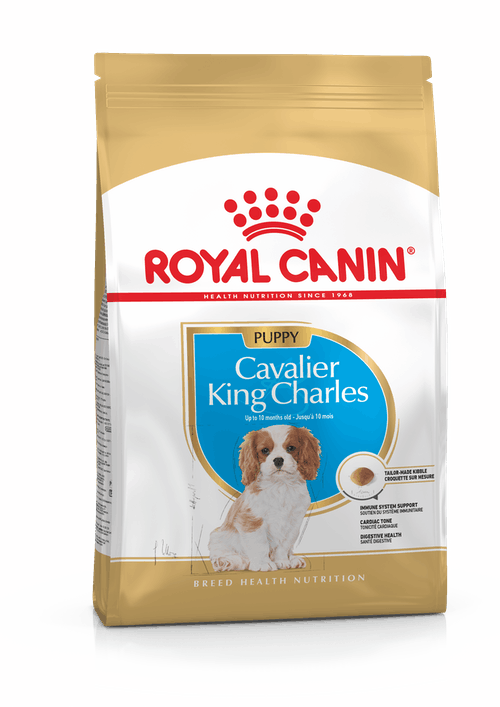 Royal Canin Cavalier King Charles Spaniel Puppy