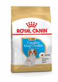 Royal Canin Cavalier King Charles Spaniel Puppy