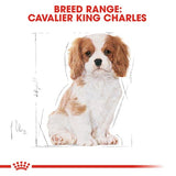 Royal Canin Cavalier King Charles Spaniel Puppy