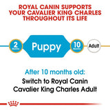 Royal Canin Cavalier King Charles Spaniel Puppy
