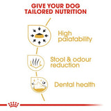 Royal Canin Chihuahua Adult