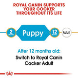 Royal Canin English Cocker Spaniel Puppy