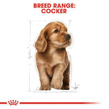 Royal Canin English Cocker Spaniel Puppy