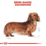 Royal Canin Dachshund Adult Wet Food in Gravy