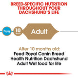 Royal Canin Dachshund Adult Wet Food in Gravy