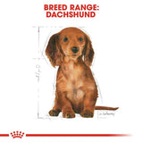 Royal Canin Dachshund Puppy