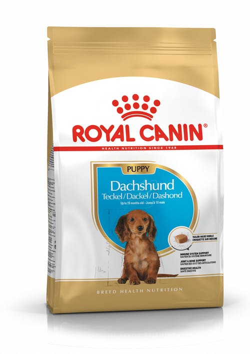 Royal Canin Dachshund Puppy