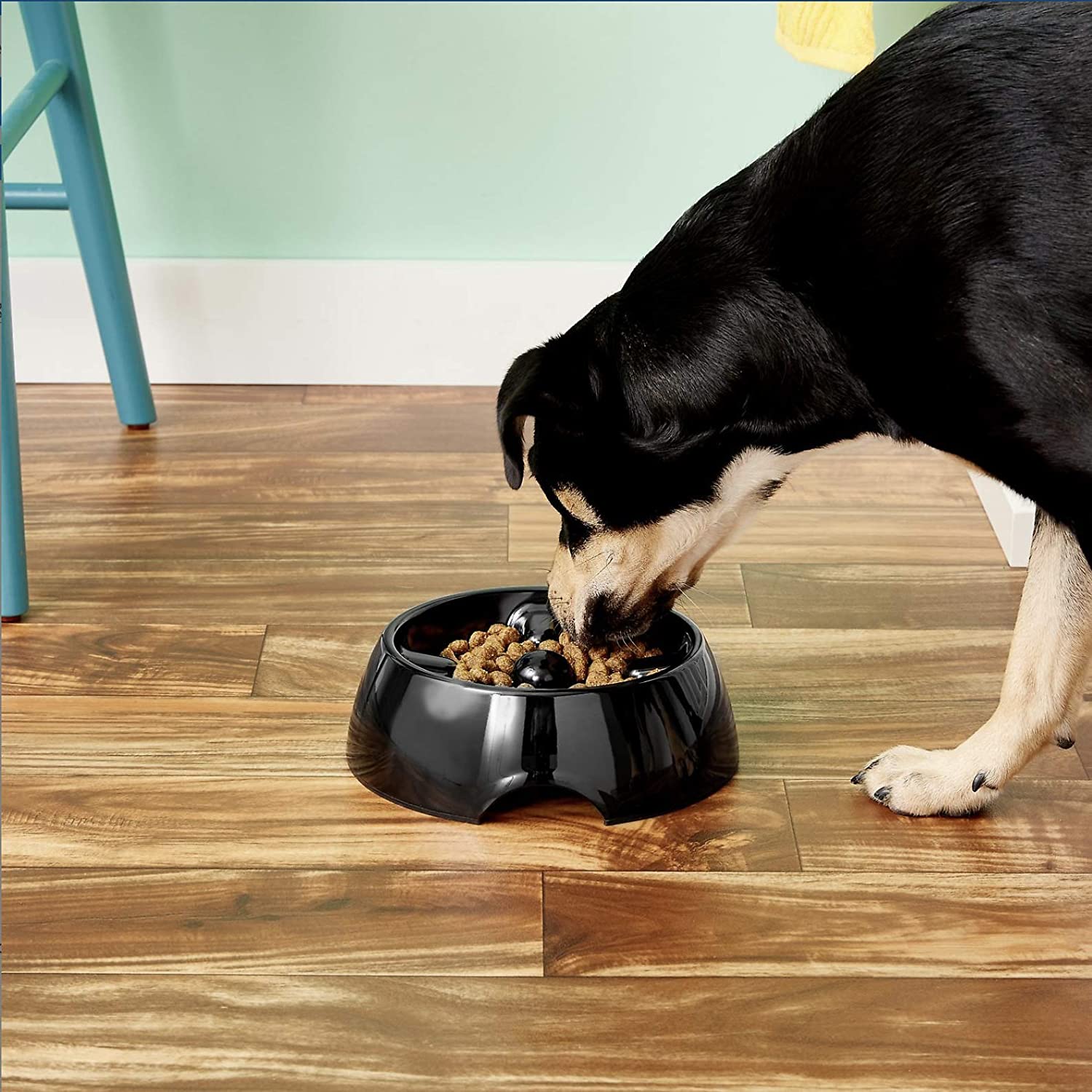 DogIt Go Slow Feeding Bowl Medium kahayupan PH