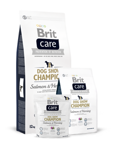 Brit Care Grain Free Giant Salmon and Potato